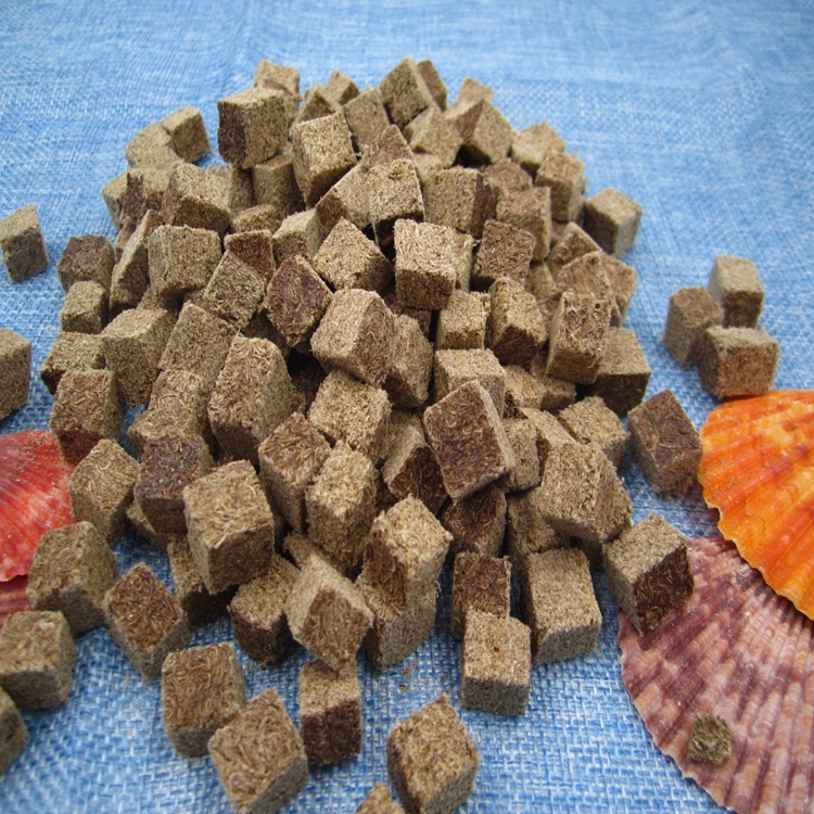 Freeze dried Tubifex food of fish